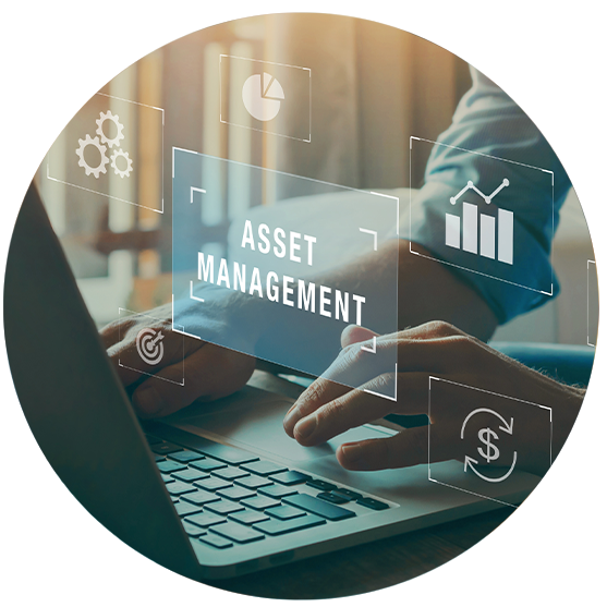 Asset management Safir Consulting